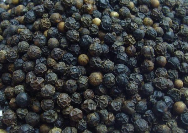 Black pepper for sale - Image 3