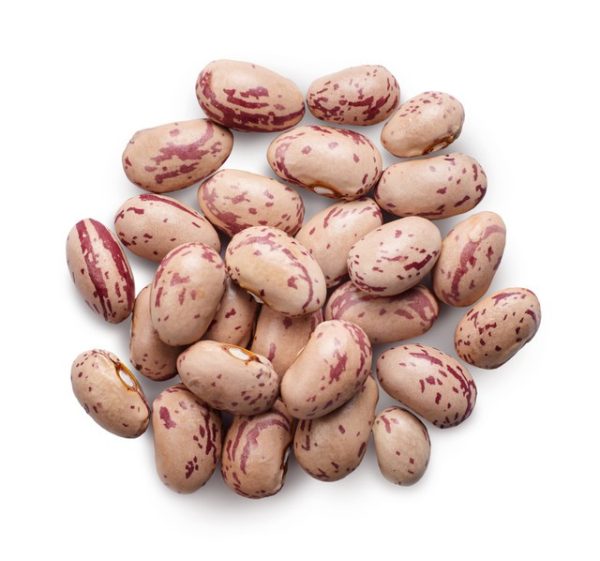 Pinto Beans