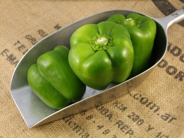 Green Pepper
