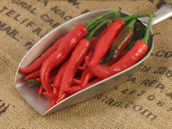 Organic Chilli Pepper