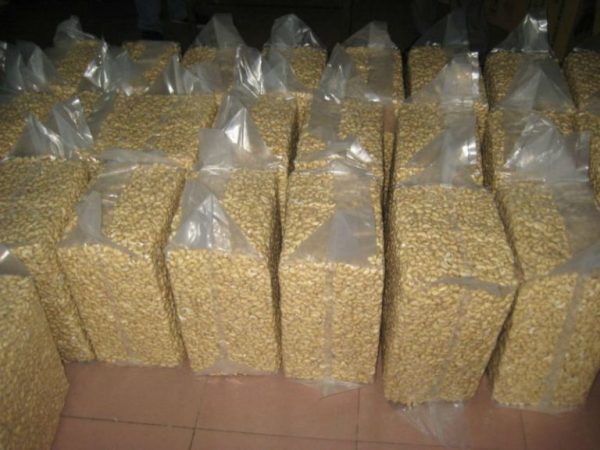CASHEW NUTS - Image 4