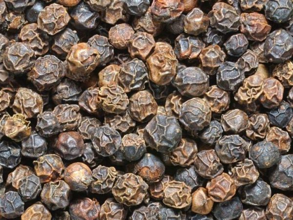 Black Pepper - Image 2