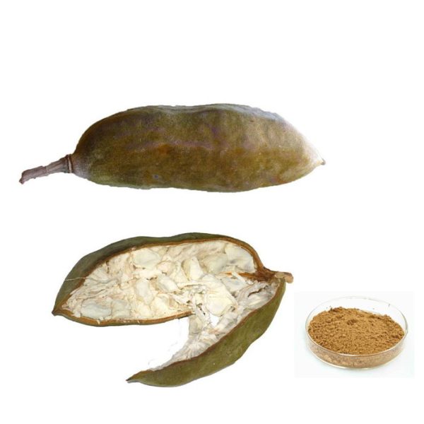 Baobab Fruits
