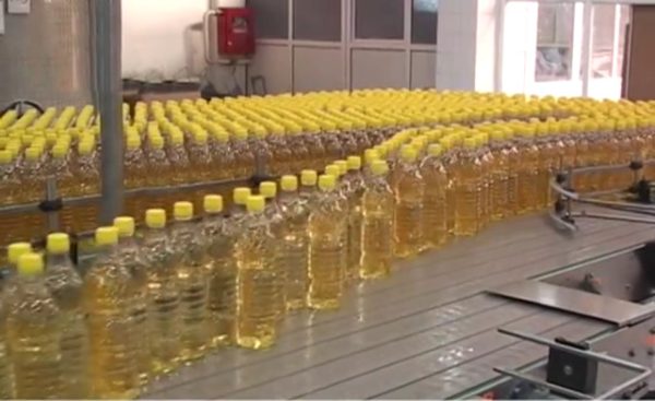 Sunflower Oil For Sale - Image 7