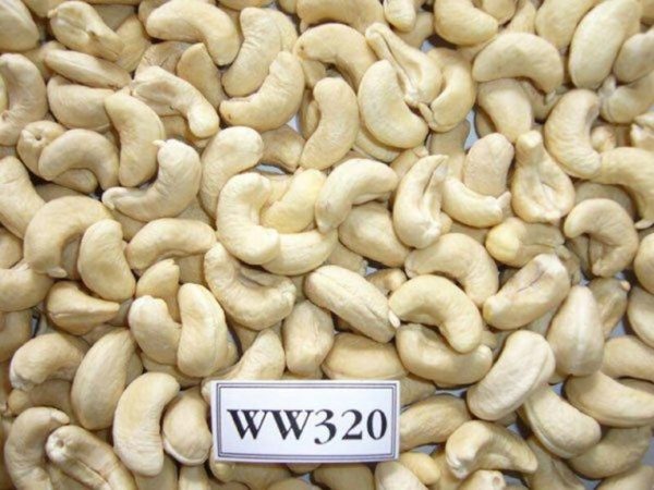 Cashew Nuts for Sale - Image 3