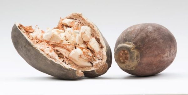 Baobab Fruits - Image 2
