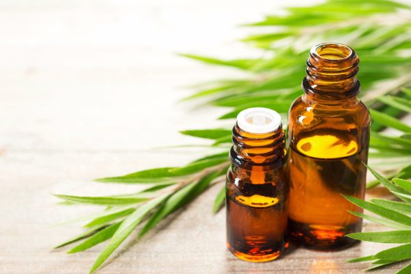 Tea oil